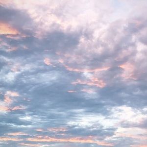 Meet your Posher, Katy